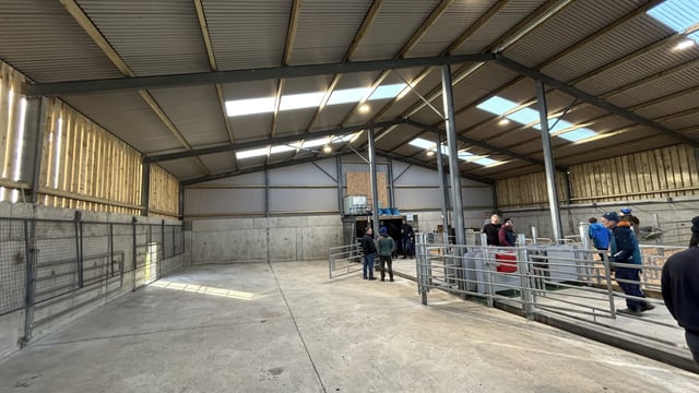 Are your calf facilities optimal for space, health and hygiene?