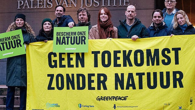 Greenpeace wins nitrogen legal case against Netherlands