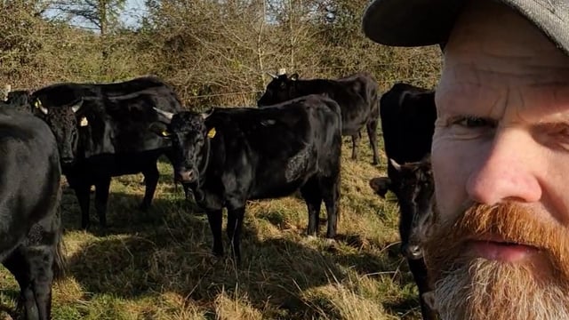 Laois farmer swaps Wagyu herd for health and wellness centre