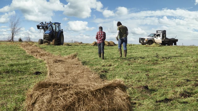 Young farmers encourage newcomers to the industry despite challenges