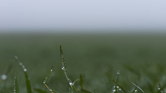 Met Éireann: Winds to abate from south but weekend to be wet