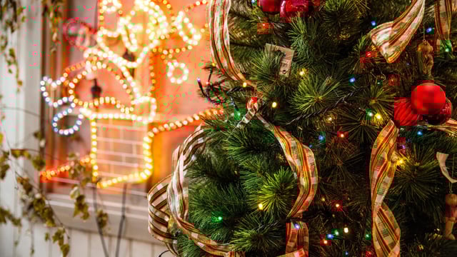Find out where to recycle your Christmas tree for free