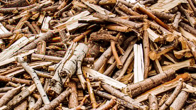 COFORD highlights climate importance of forest-based biomass