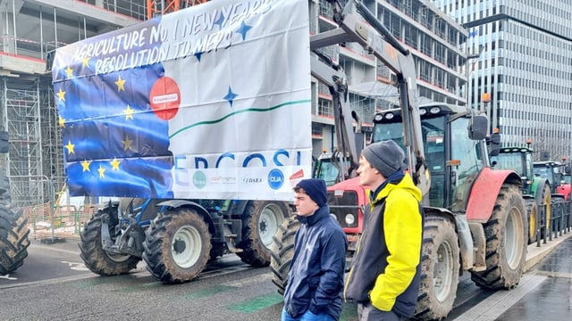 Irish MEPs attend 'Stop Mercosur' protest in Strasbourg