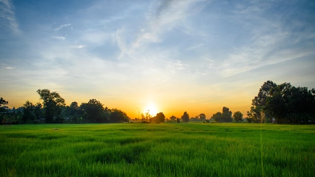 ESRI: Farmers and public 'equally worried' about climate change