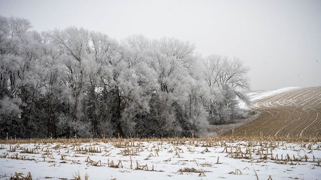Farmers urged to think of 'own safety' in severe cold weather spell