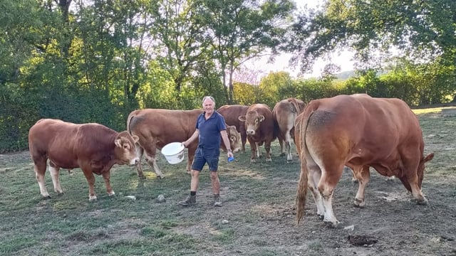 Galway family describe France as 'paradise' for farming