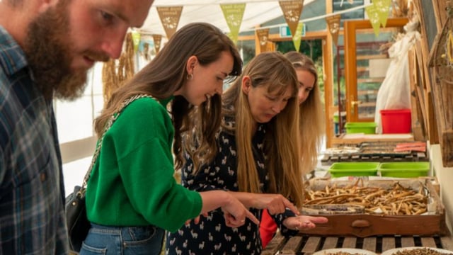 Seed exchange event to promote biodiversity this month