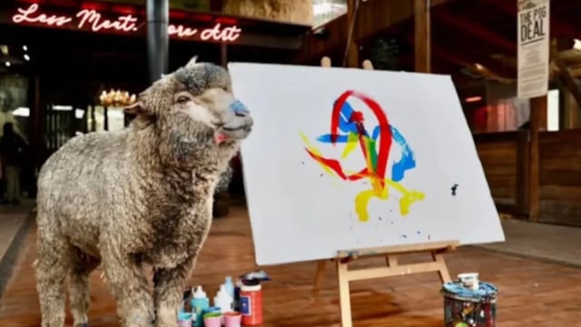 Sheep painting prodigy 'Baanksy' reportedly kidnapped