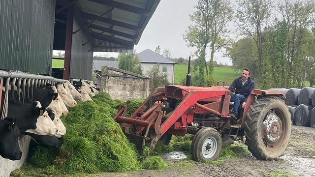 Dairy Throwback: Investing in a Co. Cork farm