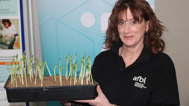 Protein Aid Scheme under review in NI - expert
