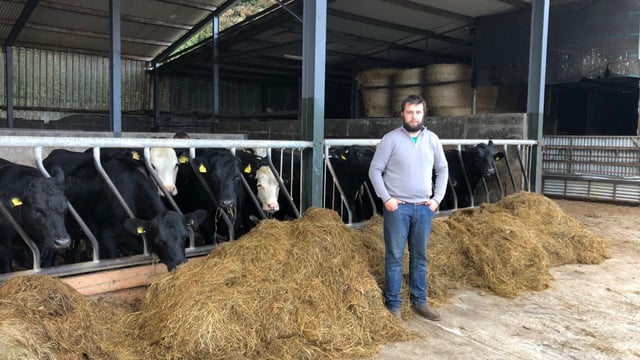 Calf match-making service a 'big win' for Meath beef farm