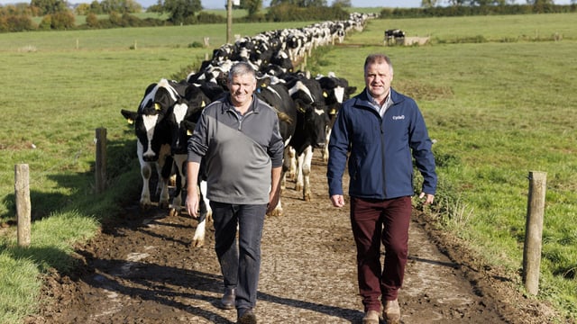 Kildare to host community meeting about biogas plant