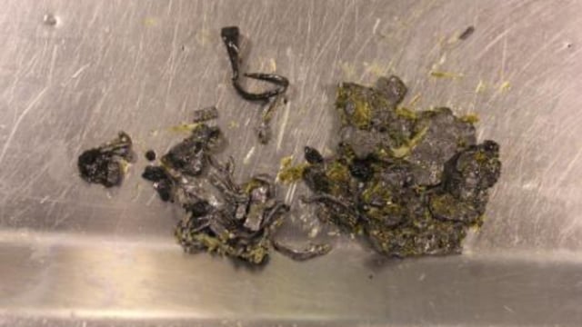 Department renews lead poisoning warning as animals turned out