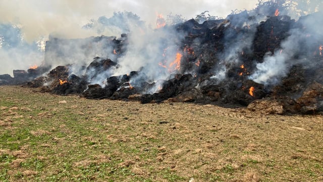 Kildare farmers urged to be 'vigilant' following recent arson attack
