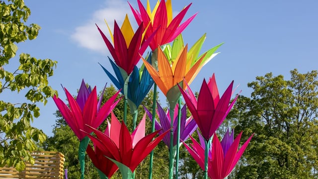 Bord Bia announces lineup for Bloom 2025