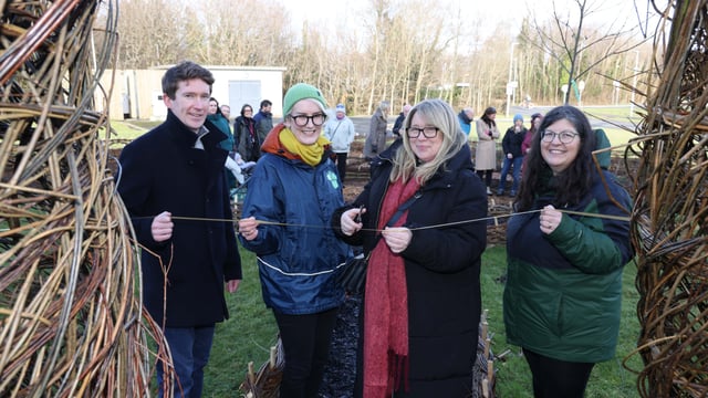 University of Galway launches Pocket Forest mini-woodland project