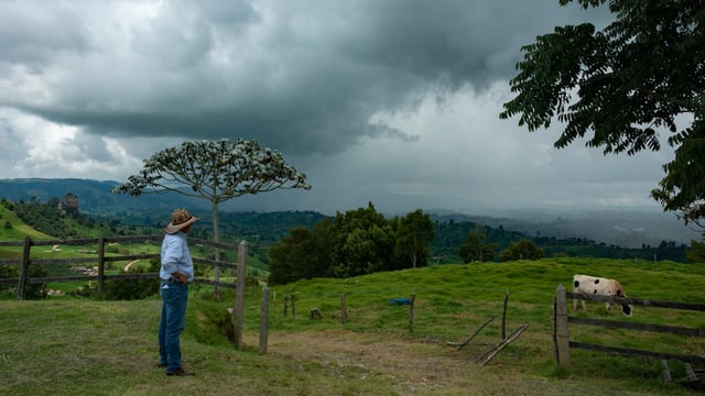 Commission: €99m allocated to farmers impacted by 'climatic events'
