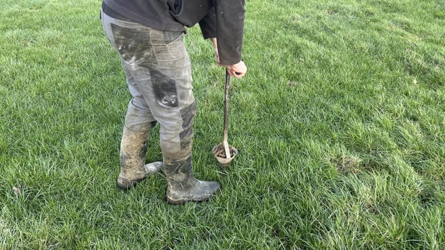 Still time to soil sample silage ground before nutrient application