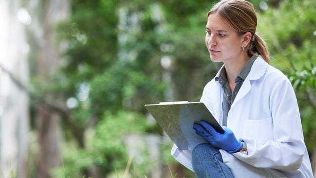 Ash dieback research among new projects to secure share of €14.5m EPA funding