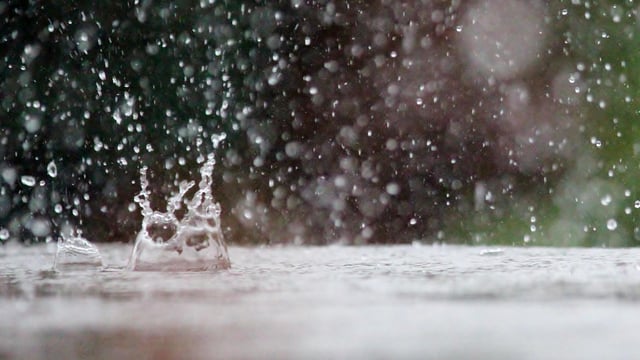 Weather update: Status Yellow wind and rainfall warning issued