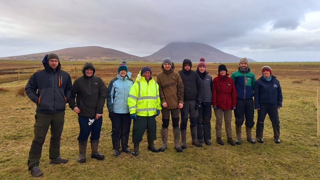 Farmers join project to reverse wader population decline on Achill