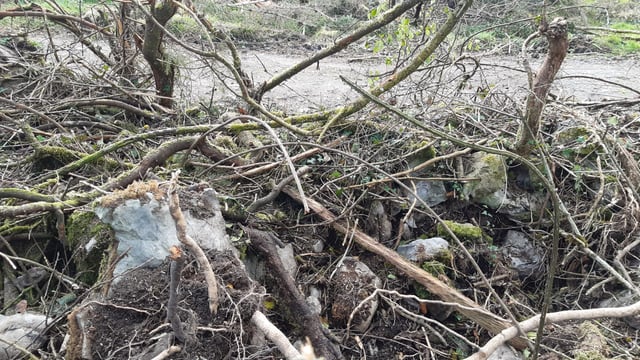Farmer claims he was left without a fence by Coillte after Éowyn