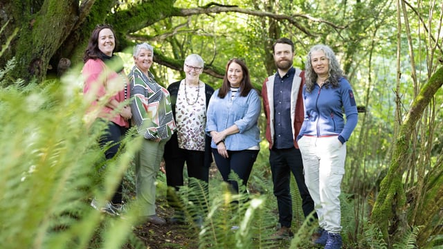 Clare forest to be 'anti-monument' to cervical check scandal