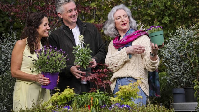 Final line up of guests announced for Bord Bia Bloom 2025