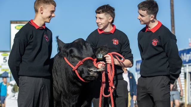 Irish students set to discuss sustainable farming in Brussels