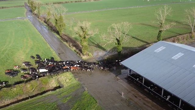 Watch now - Farming for the Future: A sustainable future