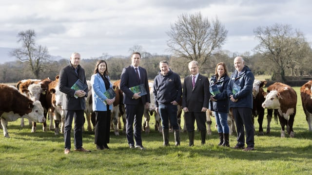 Report recommends central hub for organic producer organisations