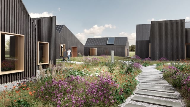 Kyrie therapeutic farm planned for Co. Kildare