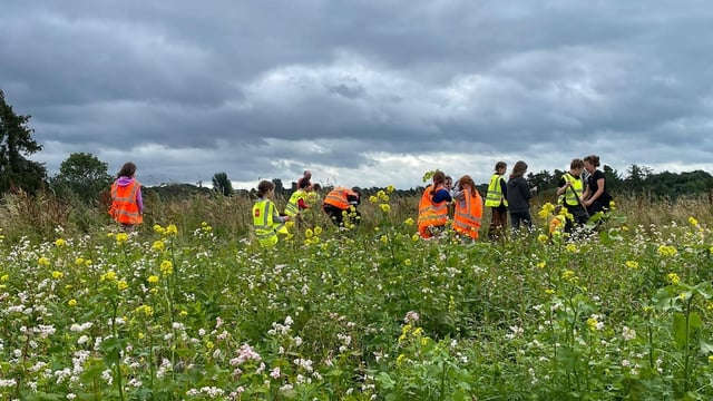 Limerick's Doon Social Farm in growth mode
