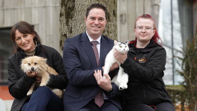 2025 funding programme for animal welfare opens