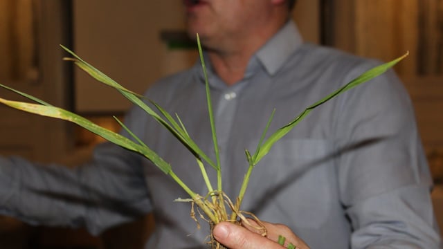 What is the best nitrogen programme for winter barley crops?