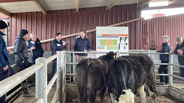 Have in-spec bonus beef price rates become outdated?