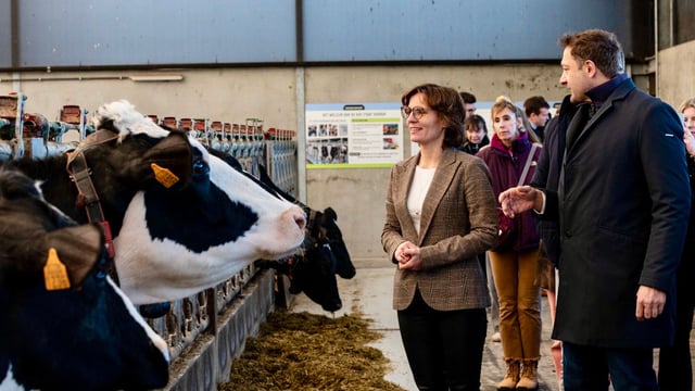 EU food sector is dependent 'on healthy soils and water' - commissioner
