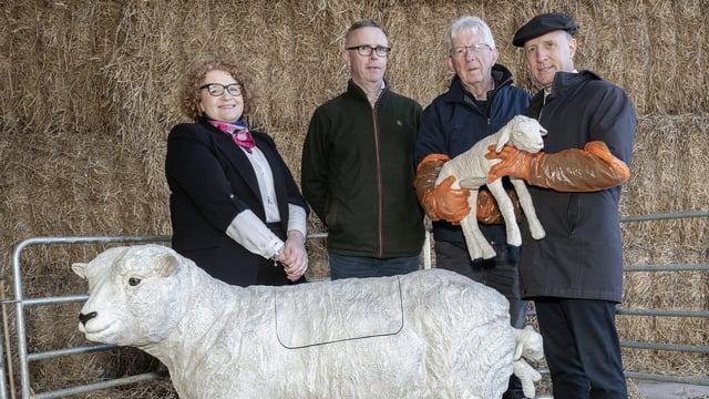 DAFM invests €320k into ewe simulators for students