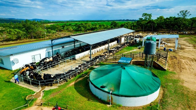 Dairy farming on a pasture-based system in Zimbabwe