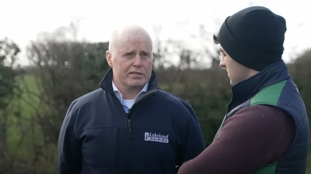 Derogation: 'Every business needs stability' - Lakeland Dairies chair