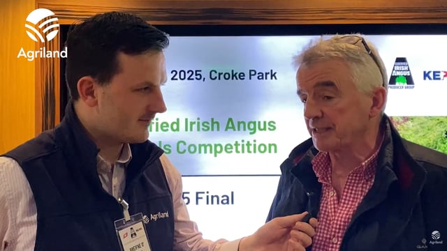 Watch: 'Full-time beef farmer and part-time airline CEO' - O'Leary