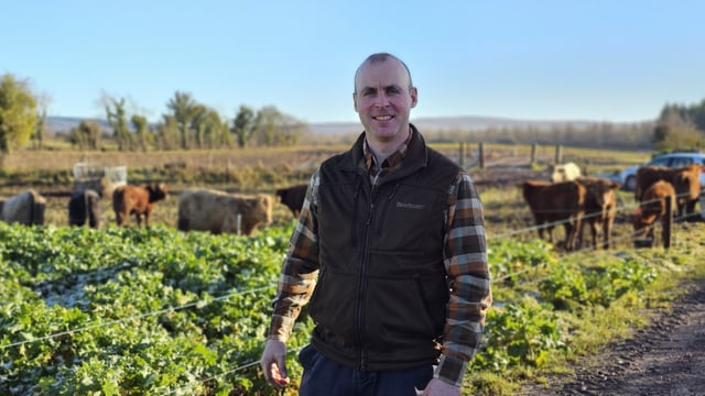 'We will be the last generation to know' dry stone walls - senator