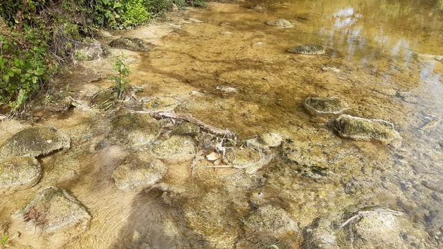 Glanua Group to pay over €5k for damage to River Suir
