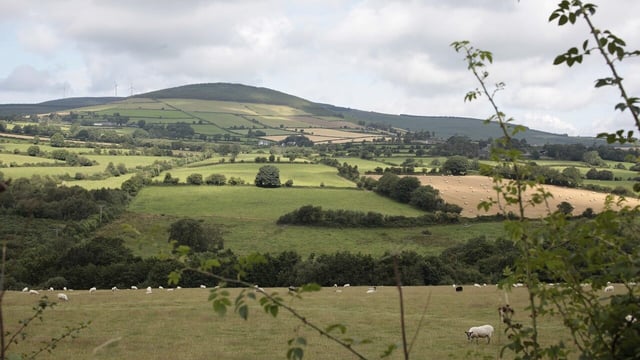 Rural Ireland's lower household incomes highlighted in report