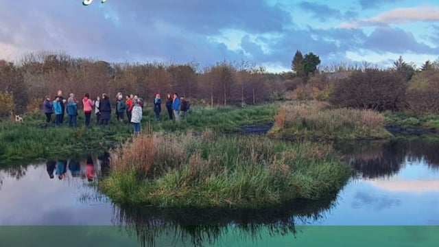 'The Hare’s Corner' facilitates simple, impactful actions for nature