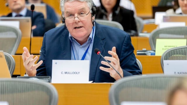 MEP urges against proposed new US animal feed tariffs