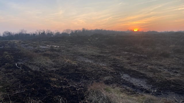 Noonan: Nature restoration plan 'must be inclusive' and ensure rewards