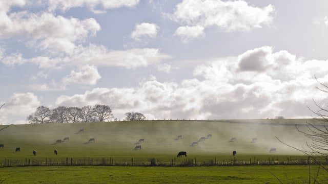 This is an 'incredibly important CAP' for Ireland - senator