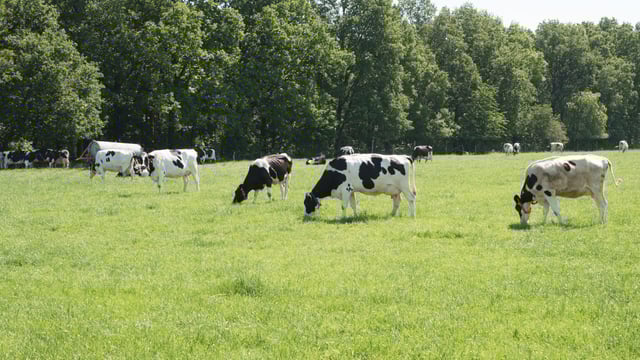 Teagasc and EPA working together on 'nutrient distribution' modeling project